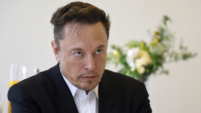 Маск заявил, что только "Альтернатива для Германии" спасет немцев