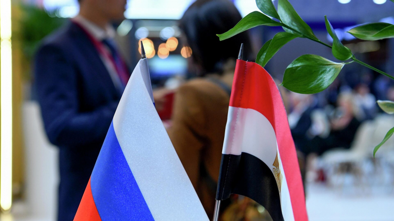 Египет готов укреплять сотрудничество с Россией, заявил глава МИД страны