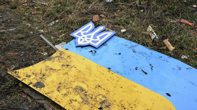 На Украине, в Прибалтике и Европе возникают ростки нацизма, заявил историк