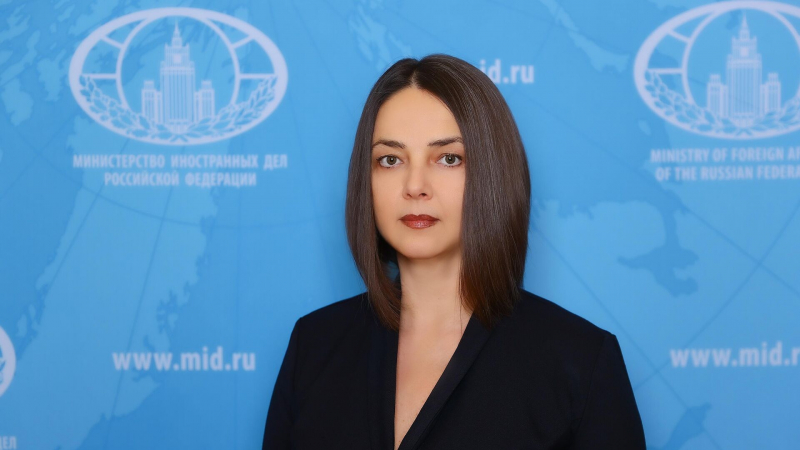 Довгаленко рассказала о работе российской дипмиссии в Южном Судане